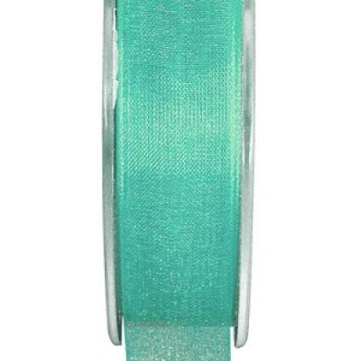 Ruban organdi 3mm mint (x1) REF/2558