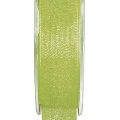 Ruban organdi 3mm vert (x1) REF/2558