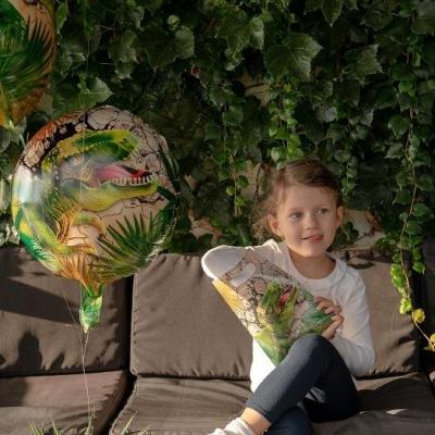 Sachet bonbon fete anniversaire dinosaure