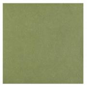 Serviette de table Airlaid vert olive/sauge (x25) REF/6808