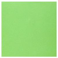 Serviette de table airlaid vert pomme
