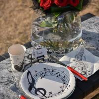 Serviette de table musique noire et blanche