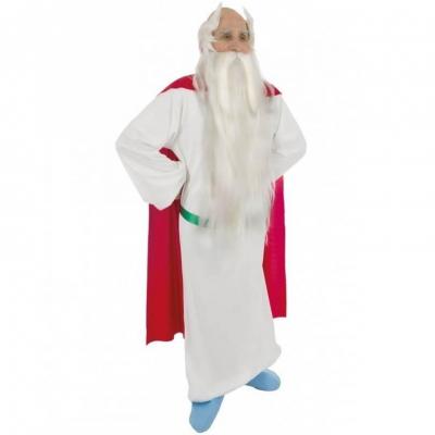 Taille xl c4197 deguisement panoramix asterix obelix