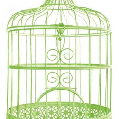 Tirelire cage verte